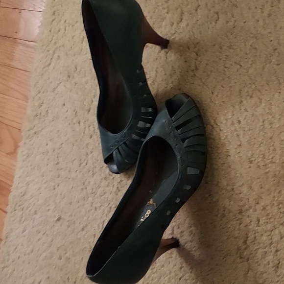 Calico - Picture 2 of 4